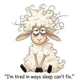 Sleep Can’t Fix