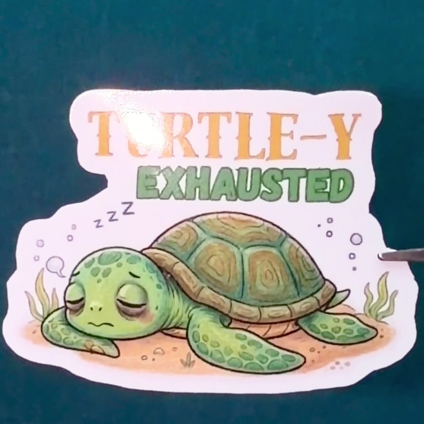TURTLE-Y EXHAUSTED